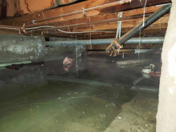 Best Ceiling water damage repair  in Eddington, PA