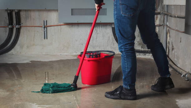 Best Flooded house restoration  in Eddington, PA
