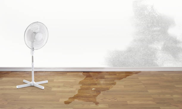Best Water damage restoration services  in Eddington, PA