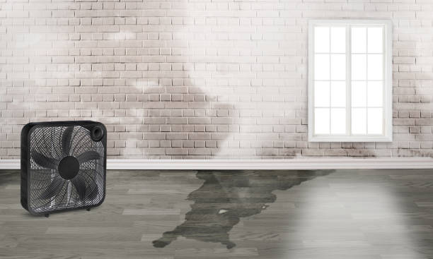 Best Fire Damage Restoration  in Eddington, PA