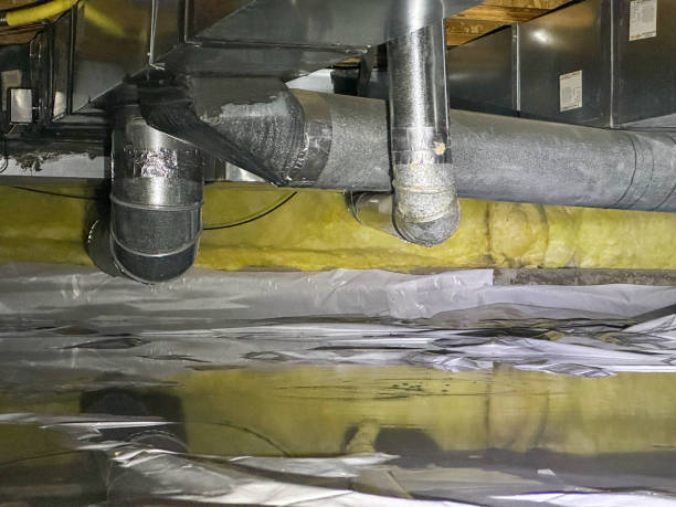 Water damage restoration mold remediation in Eddington, PA