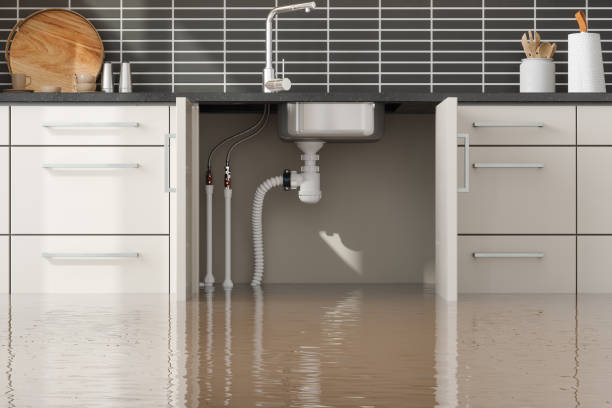Best Fire Damage Restoration  in Eddington, PA